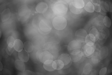 Abstract background white bokeh dispersion on a black background  