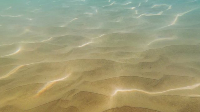 sea water sunny refractions on sandy bottom, underwater loop-ready background