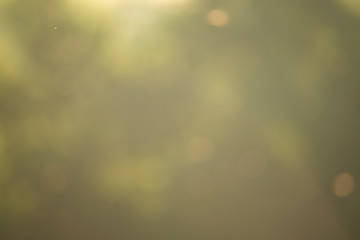 Abstract background of white bokeh on a soft green background 