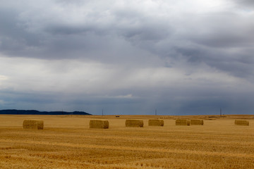 Fototapeta na wymiar bales of straw on field