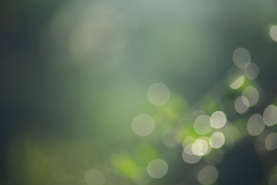 Abstract background of white bokeh on a soft green background 