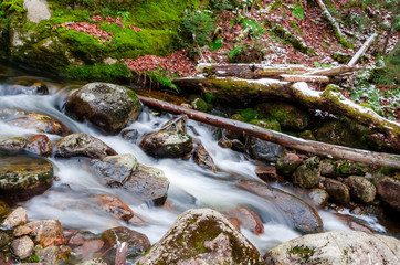 Clear water flow from the stream at Fall