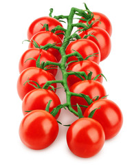 tomato cherry on branch isolated on white background, clipping path, full depth of field