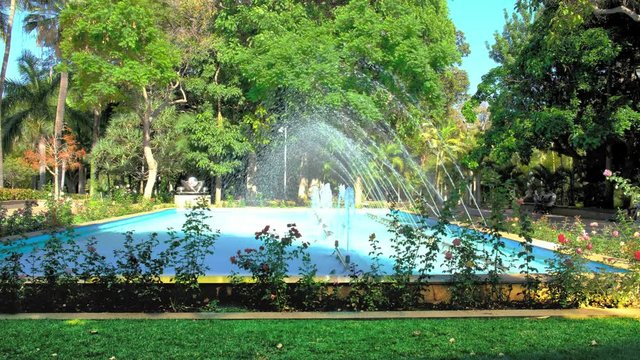 Ein Springbrunnen im Parque Garc&iacute;a Sanabria in Santa Cruz der Hauptstadt von Teneriffa.