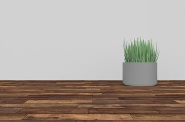 Fototapeta premium Green Plant in Empty Room 3D Rendering