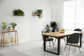 Fototapeta na wymiar Stylish room interior with green plants. Home decoration