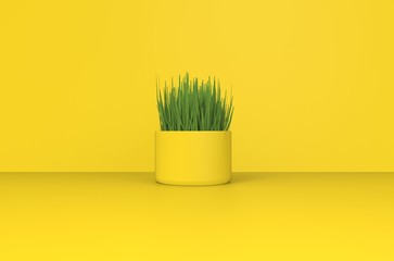 Green Plant in Empty Yellow Room 3D Rendering