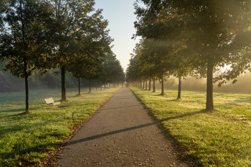 Fototapeta na wymiar Parco Nord of Milan in a October morning