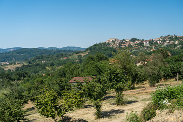 Fototapeta na wymiar Summer landscape in Irpinia, Southern Italy. Altavilla Irpina