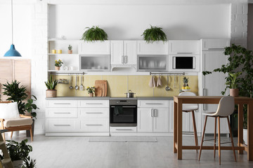 Stylish kitchen interior with green plants. Home decoration