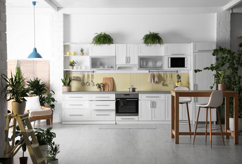 Fototapeta na wymiar Stylish kitchen interior with green plants. Home decoration