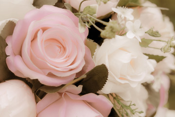 Blurred of rose flowers pink blooming. in the pastel color style for background. Stained glass pictures