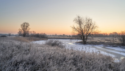 The first November frosts, bound lakes and rivers with ice. Pezinok.