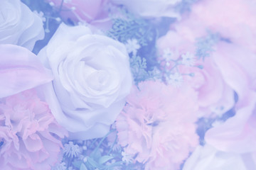 Blurred of rose flowers pink blooming. in the pastel color style for background.