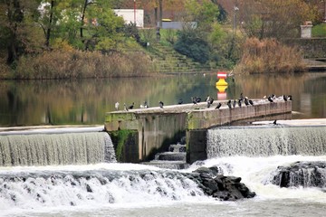 Wasser
