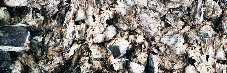 Burned embers from fire. Background. Texture. Panorama.