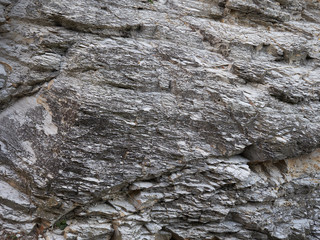 stone wall of the old town with green vines