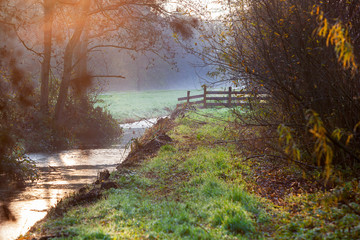 Polder view in autumn in the Netherlands