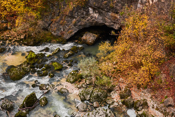 Beech trees with autumn colors in La Goule Noire de las Gorges de La Bourne. France