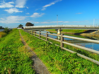 秋の朝の放水路風景