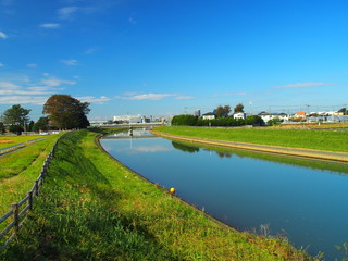 朝の秋の放水路風景