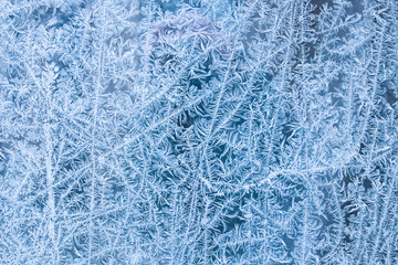 frost on the glass background