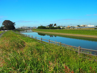 秋の朝の放水路風景