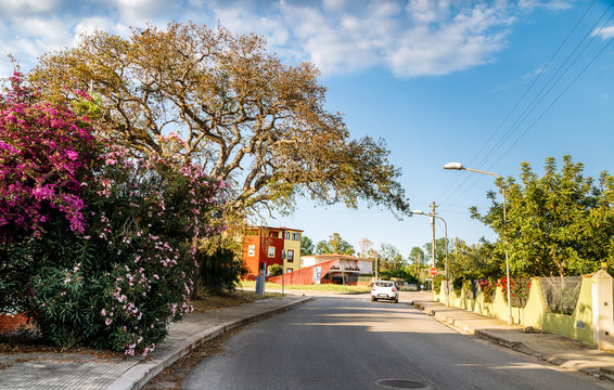 Picturesque road to the beach in Tortoli, Sardinia, Italy. Holidays in Sardinia.