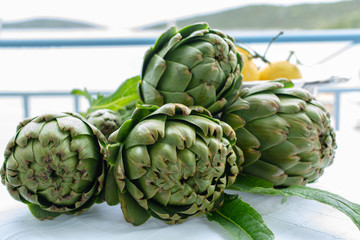 Obraz premium Bunch of fresh raw artichokes heads from artichoke plantation in Argolida, Greece ready to cook with lemon