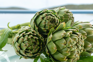 Obraz premium Bunch of fresh raw artichokes heads from artichoke plantation in Argolida, Greece ready to cook