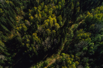 Obraz premium Aerial view on rural forest area with small road 