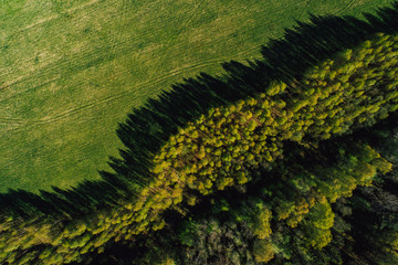 Aerial view on rural forest area with small road 