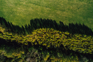 Aerial view on rural forest area with small road 