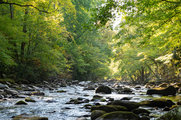 A river flowing over boulders in the lush green forest of the Great Smoky Mountains National Park in Tennessee