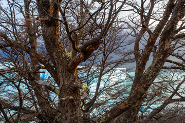  Desert Glaciers and El Calafate