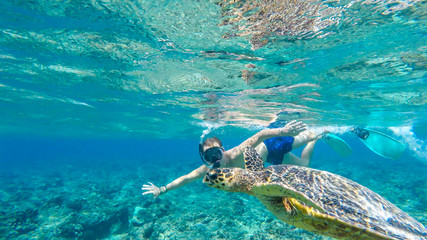 A man in a diving mask and fins diving along a turtle, next to the shore of Gili Air, Lombok Indonesia. Beautiful and crystal clear water. Peaceful coexistence of human and animal. Dream coming true. - obrazy, fototapety, plakaty