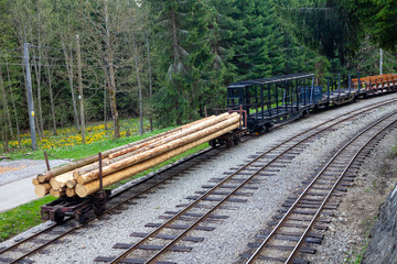 Forest railway wagon loaded with processed wood.