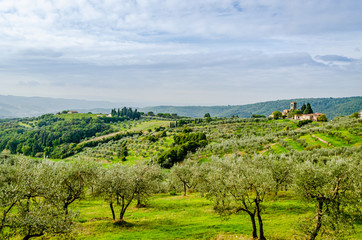 Landscape view of typical Tuscan environment with evergreen olive and cypress hills 