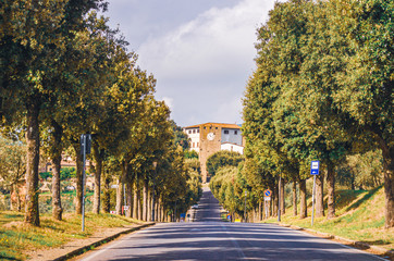 Obraz premium Artimino access beautiful boulevard
