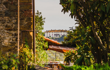 Artimino Villa medici seen from the town among evergreen trees