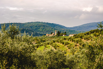 Naklejka premium View of Ss. Mary and Leonard parsih church in Artimino with typical tuscan landscape