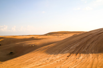 Fototapeta na wymiar ein Stück Wüste mit Dünen und einzelnen Sträuchern in der Abendsonne