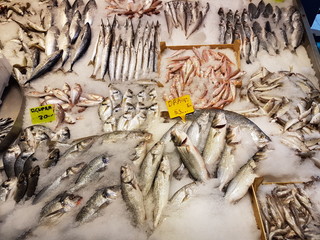 Closeup of assorted seafood and fish at Fish market in Alanya, Turkey. Food background. Raw fish and seafood. Fresh food.