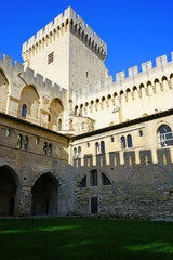 Fototapeta premium The Palais des Papes medieval castle in Avignon, France