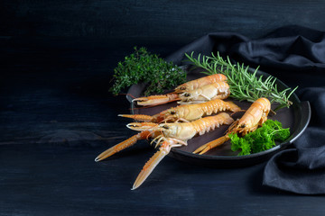 Fresh scampi, also called Norway Lobster or langoustine, with herbs on a plate on a dark blue...