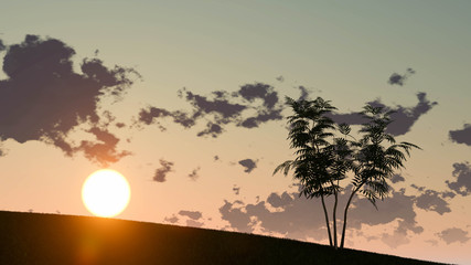 Fototapeta premium Plant at Sunset Landscape Background, 3D Rendering