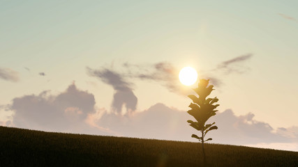 Fototapeta premium Plant at Sunset Landscape Background, 3D Rendering
