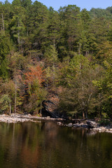 View of the forest in Great Smoky Mountains National Park dressed in autumn colours with...