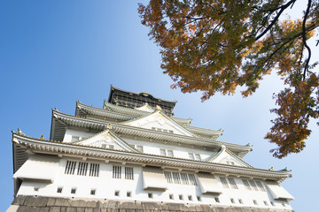 Obraz premium 大阪城 紅葉 Osaka Castle Autumn leaves