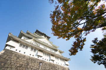 大阪城　紅葉　 Osaka Castle　Autumn leaves